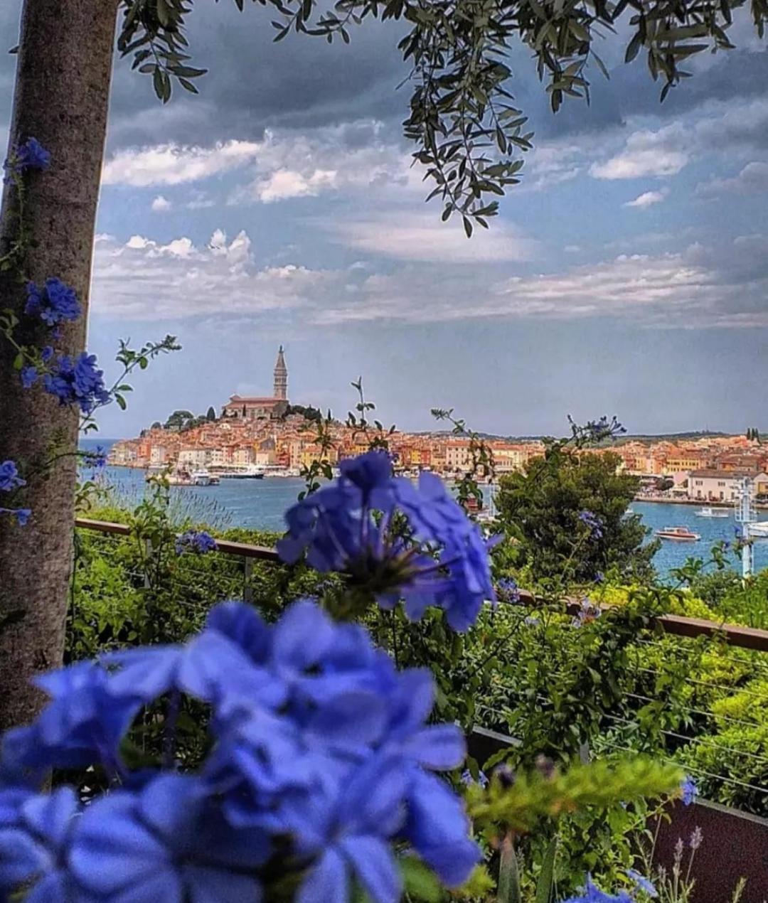 Apartments Mary & Free Parking Rovinj Quarto foto